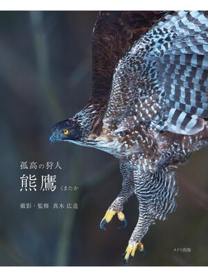 cover image of 孤高の狩人　熊鷹